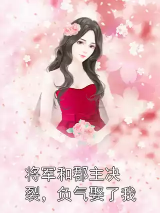 将军和郡主决裂，负气娶了我小说