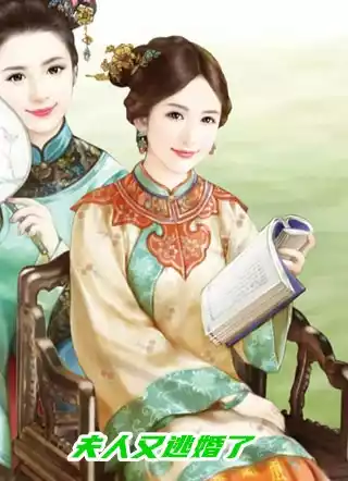 夫人又逃婚了小说