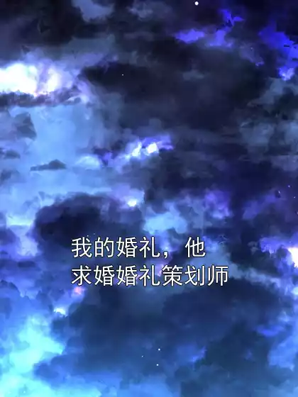 我的婚礼，他求婚婚礼策划师小说