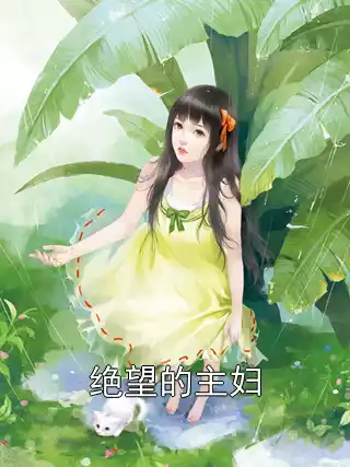 绝望的主妇小说