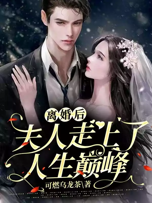 离婚后夫人走上了人生巅峰小说