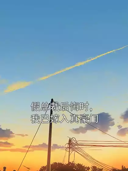 假总裁后悔时，我已嫁入真豪门