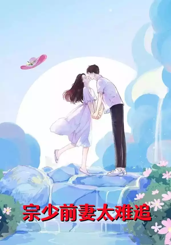 宗少前妻太难追