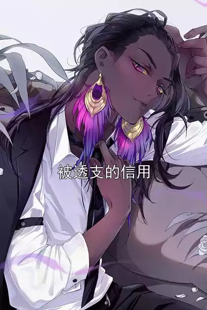 被透支的信用小说
