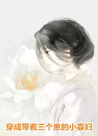 穿成带着三个崽的小寡妇小说