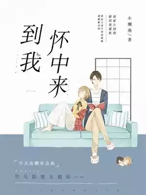 到我怀中来小说