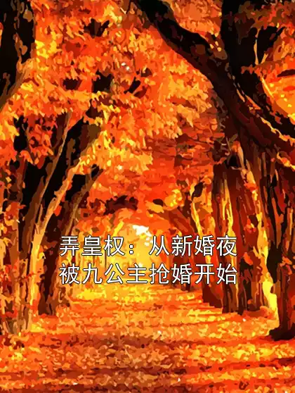 弄皇权：从新婚夜被九公主抢婚开始