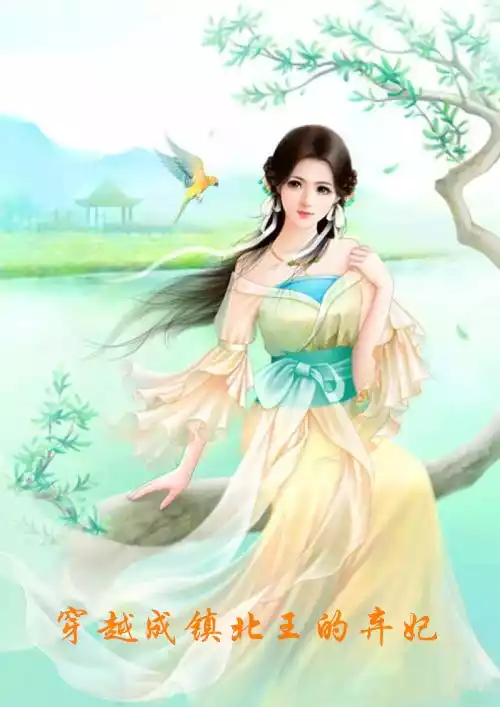 穿越成镇北王的弃妃小说