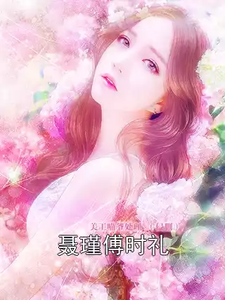 聂瑾傅时礼小说