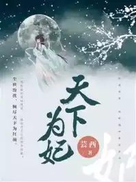 天下为妃小说