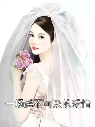 一场遥不可及的爱情小说