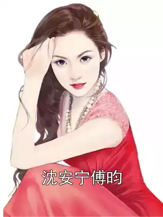 沈安宁傅昀小说