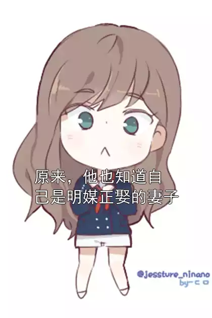 原来，他也知道自己是明媒正娶的妻子小说