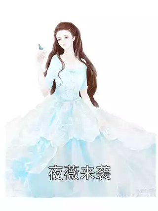 夜薇来袭小说