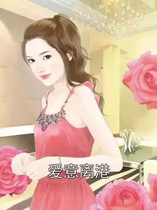 爱意离港小说