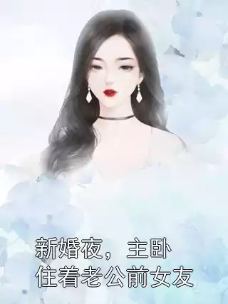 新婚夜，主卧住着老公前女友小说