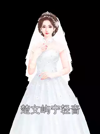 楚文屿宁轻音小说