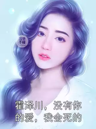 霍泽川，没有你的爱，我会死的小说