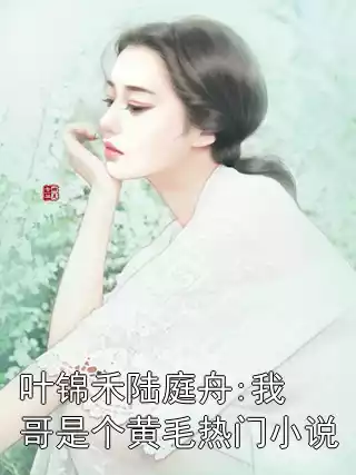 叶锦禾陆庭舟:我哥是个黄毛热门小说