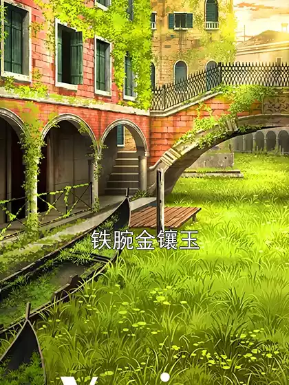 铁腕金镶玉小说