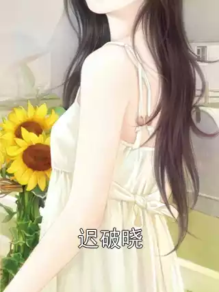 迟破晓小说