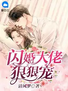 闪婚大佬狠狠宠小说