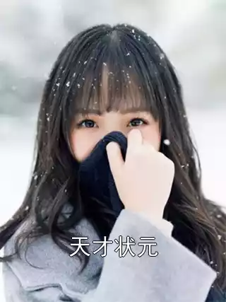 天才状元小说
