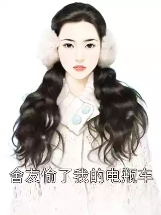舍友偷了我的电瓶车小说