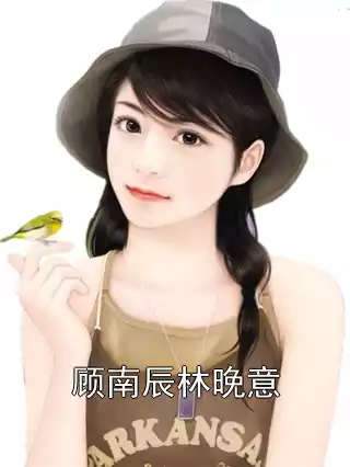 顾南辰林晚意