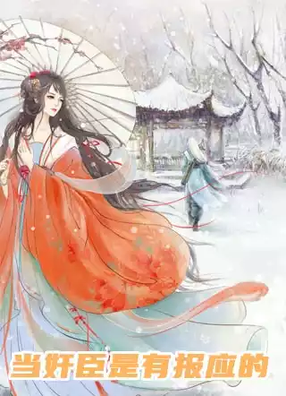 当奸臣是有报应的小说