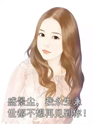 盛景尘，我永生永世都不想再见到你！小说