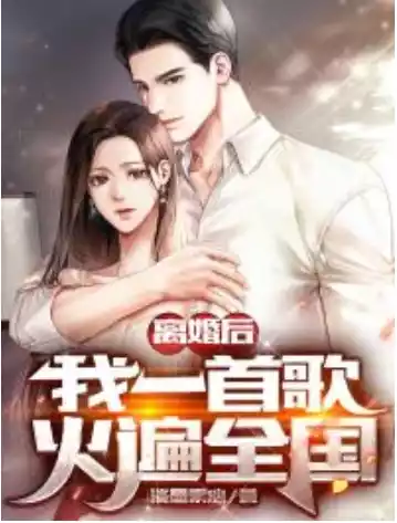离婚后我一首歌火遍全国小说
