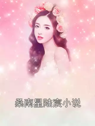 桑南星陆宸小说小说
