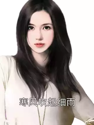寒风吹起细雨小说
