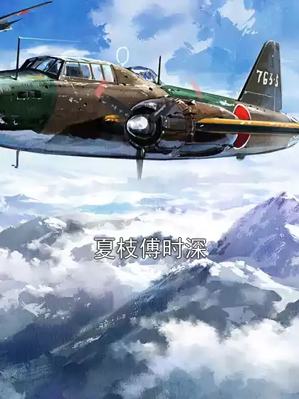 夏枝傅时深小说