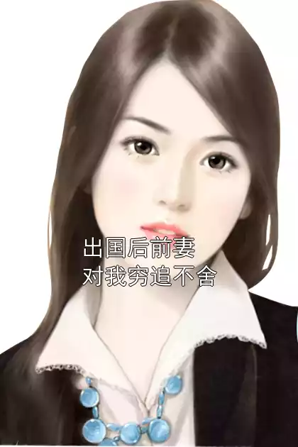 出国后前妻对我穷追不舍小说
