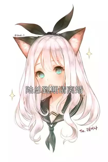 陆总到期请离婚小说