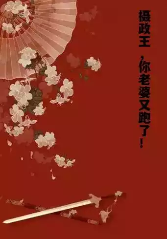 摄政王，你老婆又跑了！小说