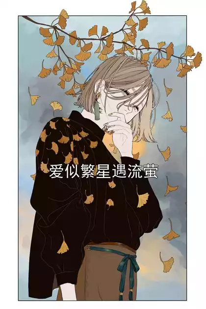 爱似繁星遇流萤