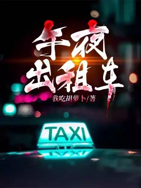 午夜出租车庄岩小说