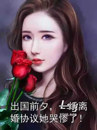 出国前夕，一纸离婚协议她哭惨了！小说