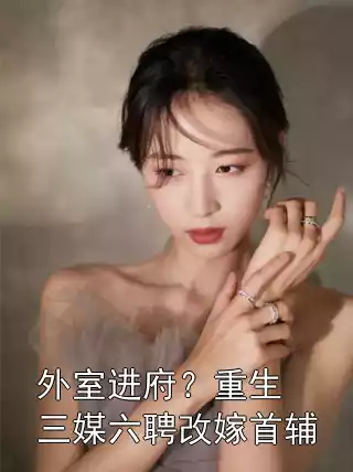 外室进府？重生三媒六聘改嫁首辅小说