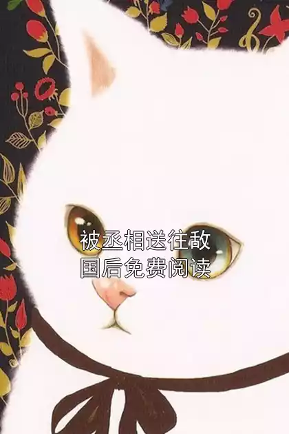 被丞相送往敌国后免费阅读小说
