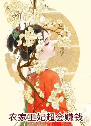农家王妃超会赚钱小说