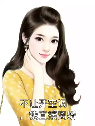 不让开空调，我直接离婚小说
