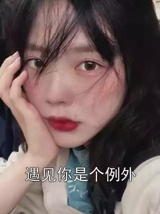 遇见你是个例外小说