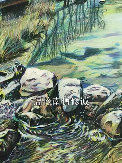温怜南傅修诚小说