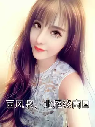 西风紧，北雁终南回小说