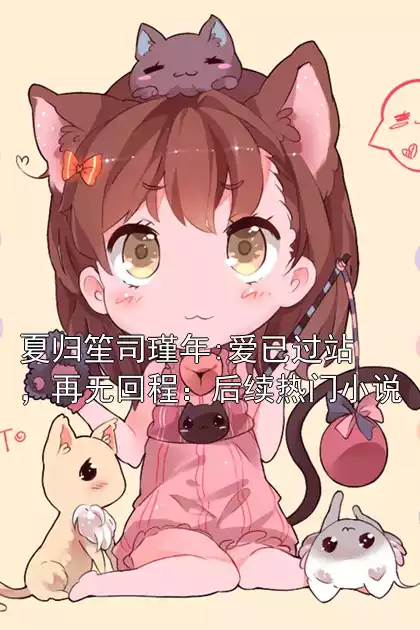 夏归笙司瑾年:爱已过站，再无回程：后续热门小说