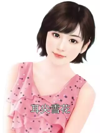 耳尖雪花小说
